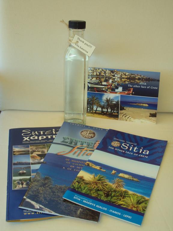 Holiday home Katerina Sitia (Crete)