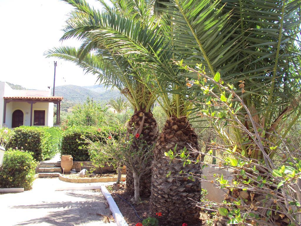 Katerina * Sitia (Crete)