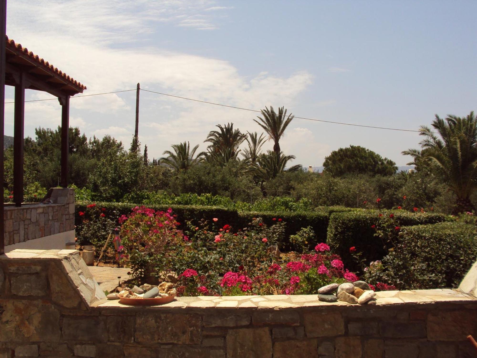 Katerina Holiday home Sitia (Crete)